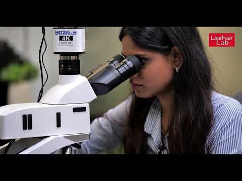 FORENSIC DOCUMENT & SIGNATURE VERIFICATION @ Laxhar lab ISO CERTIFIED I FORENSIC SERVICES