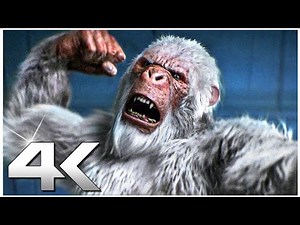 GOOSEBUMPS Best Moments 4K ᴴᴰ