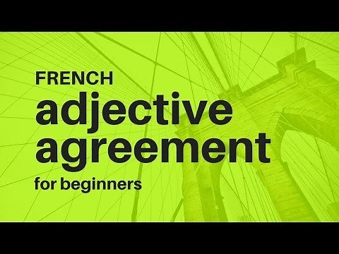 French adjective agreement basic