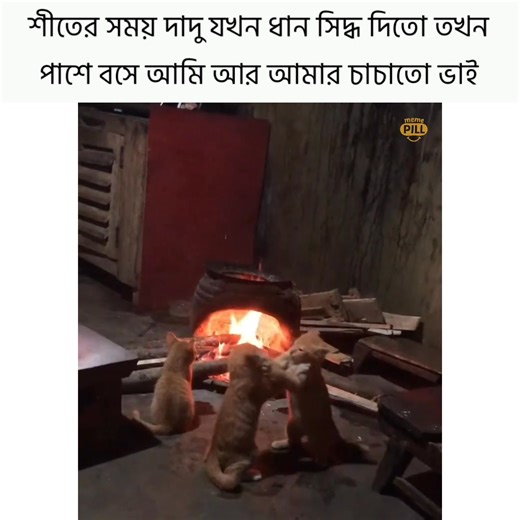 How i can go back? | Meme Pill