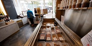 Data Sheet—Stopping Climate Change With Fake Meat