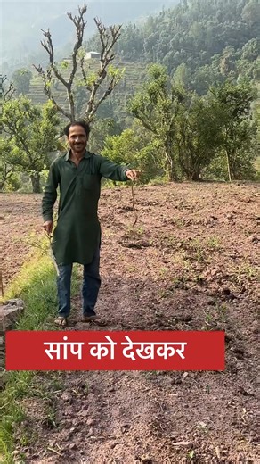 3.5K views · 155 reactions | वीडियो को पूरा देखकर Ignore मत कीजिए || Live Snake Rescue #Snake | Som Nath | Facebook