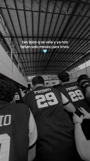 ay… #parati #viral #promo #meses #promo29