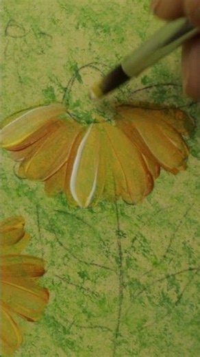 Process- Echinacea Yellow 01#shorts #flowerpainting #artshorts #process #art