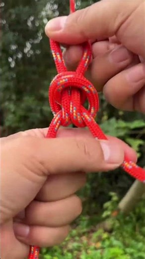 "How to Tie the Alpine Butterfly Loop for Secure Climbing"