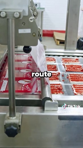 The Mimic's Journey: From Predator to Human Life