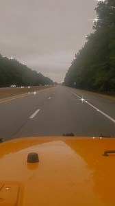 James Fowler on Reels