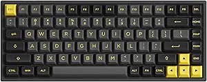 Akko Black&Gold 75% Hot-swappable Mechanical Gaming Keyboard with PBT Keycaps, 2.4G Wireless/Bluetooth/Wired 3084B Plus 84-Key RGB Keyboard, Compatible with Mac & Win Jelly Purple Switches