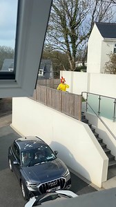 chicken funny prank!! 😂 | The Hanby Family