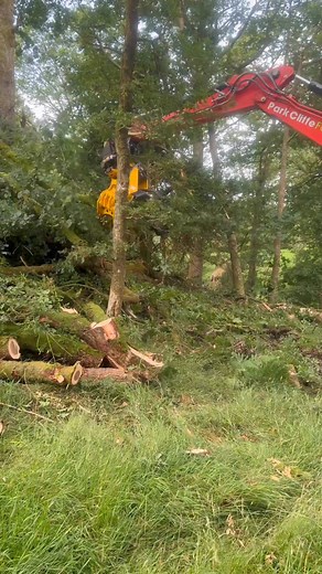 Park Cliffe Farm’s latest Kubota KX085-5 with Engcon grapple saw clearing wind blown trees near Windermere. | RPA Media