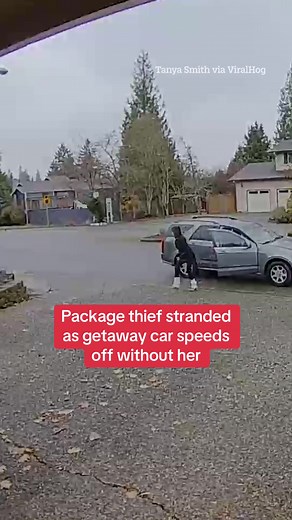 The Sun (@thesun)’s video of package thief prank