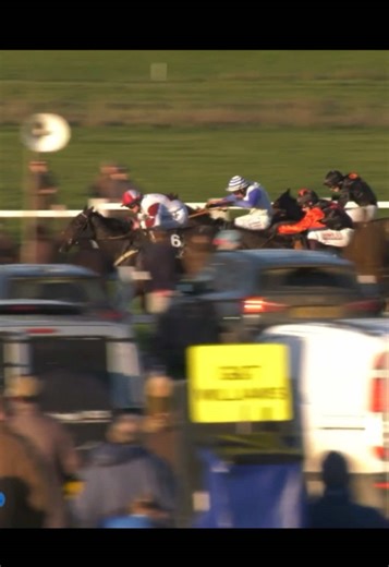Dorset Dazzler Secures Maiden Victory in Point-to-Point Race