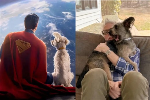 Krypto's role in 'Superman' fuels massive surge in dog adoption interest | ABS-CBN Entertainment