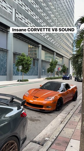 Corvette C6 Z06 IS LOUD 🔥 #c6 #corvette #v8 | Driven By Alex