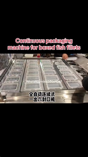 Continuous packaging machine for boxed fish fillets
