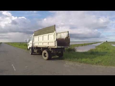 Klein Henar, rice fields, Nickerie, Suriname