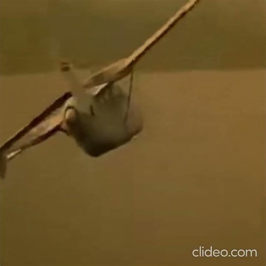 RIP Robert Duvall - L'odeur du Napalm - Apocalypse Now #film #movie #military