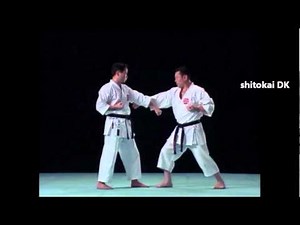 Basai Dai Shitoryu_ Bunkai
