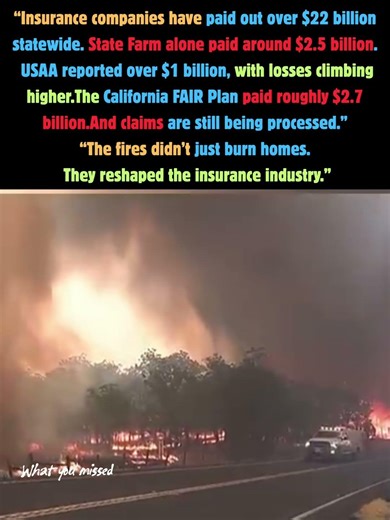 California wildfires triggered billions in payouts.#shorts #whatyoumissed #disaster #insurance