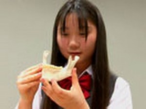 怖いけど知りたい体の話　（１５）Body.15 歯はどうやって固定されているの？