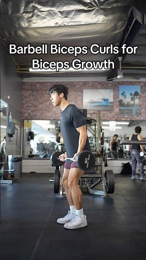 How to do Barbell Bicep Curl Properly for the Biceps