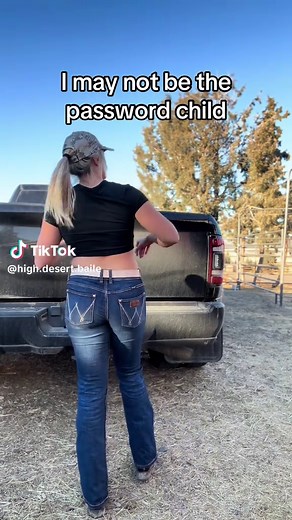 Tow Ball Bailey at your service | bailey brewer