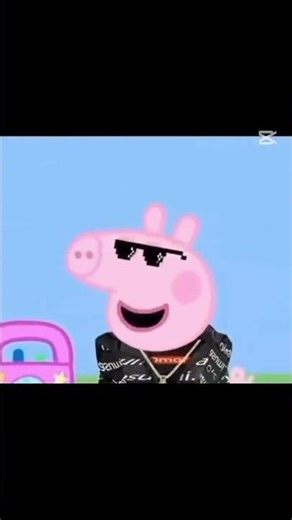 Props pig in the rich life #memes