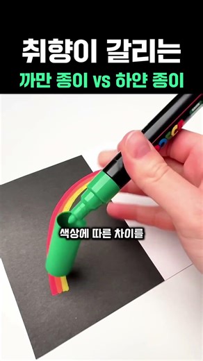 취향이 갈리는 까만 종이 vs 하얀 종이 #그림