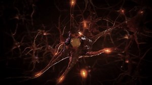 「神経系内のシナプス過程。脳の3Dアニメーションニューロン。電気的および化学的信号を送る神経細胞。脳ネットワーク、神経伝達物質インパルス。」の動画素材（ロイヤリティフリー）1102559033 | Shutterstock