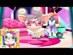 Miss Hollywood Showtime Gameplay - Pet Dress up & Pet House Makeover |Android ios Fun Pet Care Game