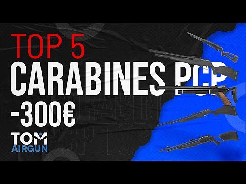Top 5 carabines PCP à moins de 300€ — Meilleurs rapports qualité/prix 2025