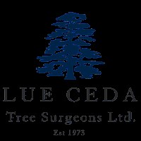 Blue Cedar Tree Surgeons, Chichester | Tree Surgeons - Yell