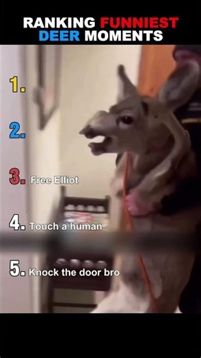Funniest Deer Moments 😂 #shorts