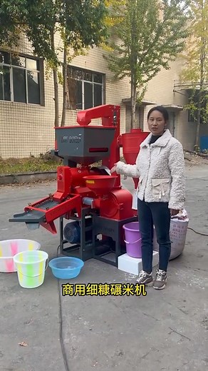 High-efficient rice mill machine，can process rice milling 500-600Kg/hour.#commercial#ricemillmachine#machine# | Mini Rice Mill Machine