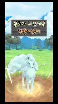 [Go배틀리그 슈퍼리그] 신기술 받은 알로라 나인테일 (feat. 마릴리 / 토오) #슈퍼리그 #슈퍼리그조합 #알로라나인테일 #찬물끼얹기 #마릴리 #토오
