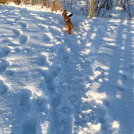 Emily Anderson on Reels