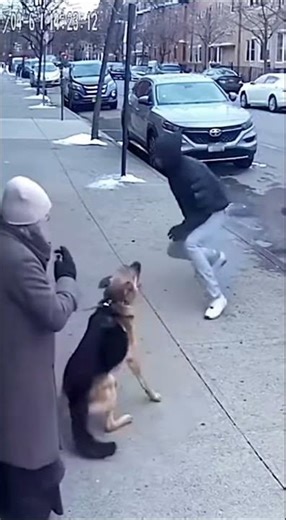 She Didn’t Scream The Dog Did 🐕