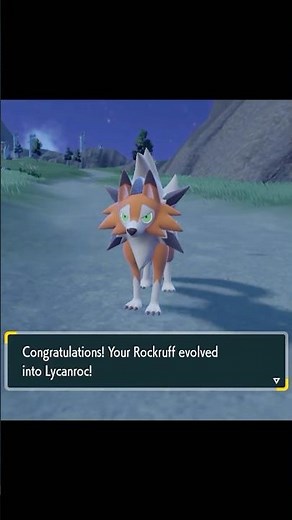 How to get Dusk Form Lycanroc in Pokemon Scarlet and Violet!