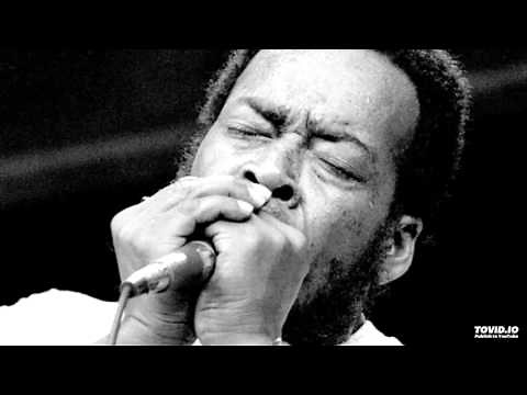 JAMES COTTON - Rocket 88 [LIVE 1967]