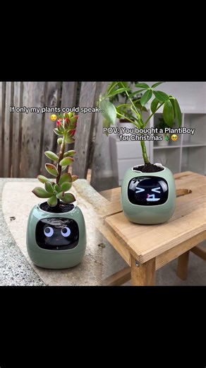 It’s so preaty present #plantcare #plantlover #smartplant #usa