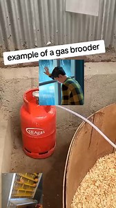11K views · 49 reactions | Example of gas brooder | Nasara Gaya Sahanunu | Facebook