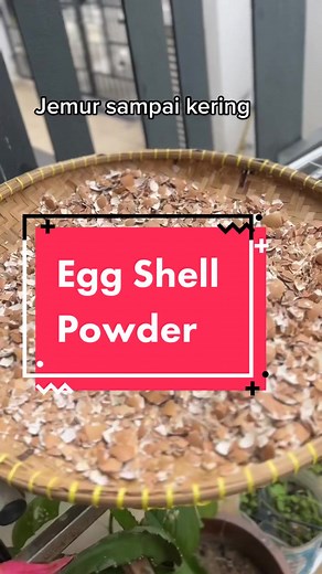 Manfaat Kulit Telur yang Banyak! Cara Membuat Serbuk Kulit Telur