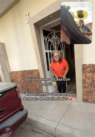 Reencuentro con mamá después de muchos años: ¿y si volvemos a casa con mamá?