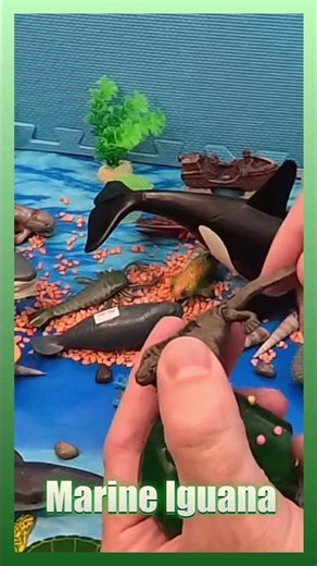 What's in the Beaded Slime? 🦎 Only Ocean Lizard Reveal!