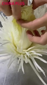 Uno chef di talento cinese ha trasformato un cavolo cinese in un bellissimo "crisantemo" con le sue eccellenti abilità di intaglio, impressionando molti follower online. (Video da ChinaPlus) | Radio Cina Internazionale