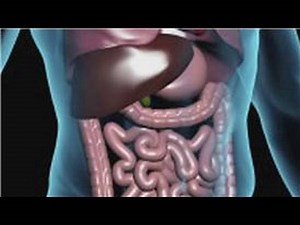 Nutritional Health : How to Clean Your Colon by Fasting