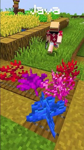 Minecraft Java vs Bedrock Differences You Need to Know! #minecraft #minecraftjava #javavsbedrock