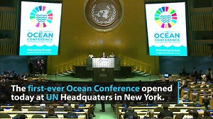 5.5K views · 150 reactions | As the Ocean Conference opened today at...