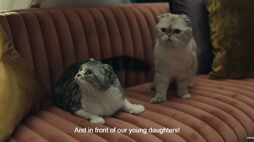 The Net Worth of Olivia Benson, Taylor Swift's Millionaire Cat
