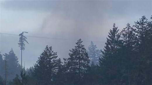 Four Army service members aboard Black Hawk helicopter that crashed in Thurston County
